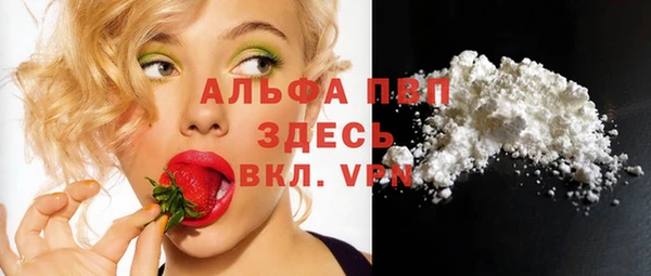 стафф Арсеньев