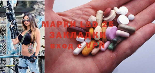 стафф Арсеньев