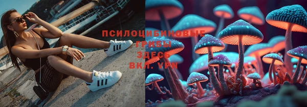 стафф Арсеньев