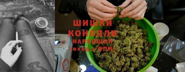 гашик Алексеевка