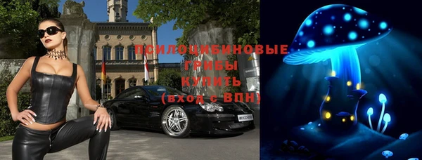 стафф Арсеньев